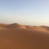 【モロッコ　観光】サハラ砂漠でラクダに乗って朝日を見よう